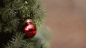 ¿Qué día se debe quitar el árbol de Navidad?