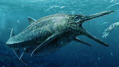 La Universidad de Edimburgo presenta los restos f&oacute;siles de un dinosaurio marino que habit&oacute; sus aguas.