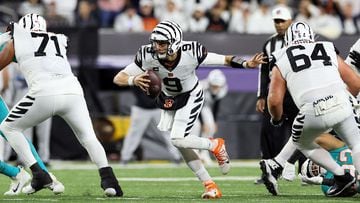 Cincinnati Bengals to Wear 'Color Rush' White Uniform for This Weekend's  Game Against the Pittsburgh Steelers, Sports & Recreation, Cincinnati