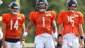 Bears GM Poles Expects Fields to Be Starting QB Next Season, Chicago News