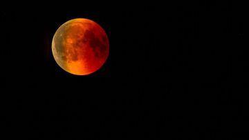 Eclipse lunar de noviembre: cu&aacute;ndo es y en qu&eacute; pa&iacute;ses se podr&aacute; ver el eclipse parcial.