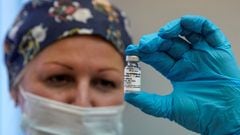 Vacuna rusa en Argentina: ¿cuántas dosis tendrá Argentina y a quién vacunará en 2021?