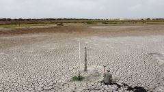 La laguna más grande de Doñana se queda sin agua
