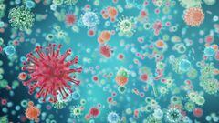 Coronavirus Chile: qu&eacute; se sabe sobre las mutaciones del virus
