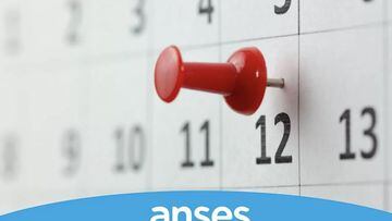 Tarjeta Alimentar ANSES: qué día comenzarán los pagos de febrero