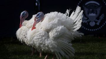 The US celebrates Thanksgiving annually on the fourth Thursday of November. It’s one of the eleven national holidays the country observes within a year.