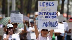 Marcha contra el maltrato animal en CDMX: fecha, calles cerradas y alternativas viales