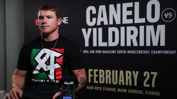 How much is Canelo Álvarez set to earn for Avni Yildirim fight?