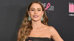 Sofia Vergara beat cancer at the age of 28 in the year 2000, and now she has her heart set on helping children who are battling the disease.