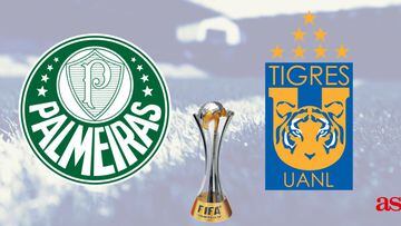 Palmeiras-Tigres