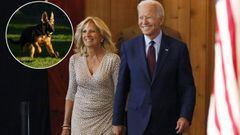 &iexcl;La Casa Blanca recibe a un nuevo residente! El presidente Biden y la primera dama Jill Biden anunciaron la llegada de &lsquo;Commander&rsquo;, su nueva mascota.