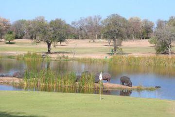 Este bello campo de golf de 9 hoyos ofrece al visitante una curiosa experiencia al estar rodeado de una gran variedad de animales.