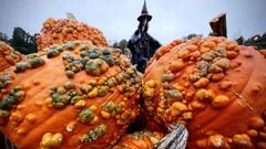 Warty Goblin pumpkins for sale are piled up on display near a giant witch Halloween decoration at Van Houten Farms in Orangeburg, New York, U.S., October 10, 2021. 