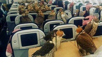 80 halcones del pr&iacute;ncipe saud&iacute; en un vuelo regular