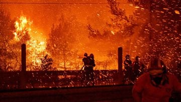 People were evacuated from their homes after a wildfire reached residential areas of northern Athens as record temperatures reached 42 degrees Celsius (107.6 Fahrenheit) in the Summer