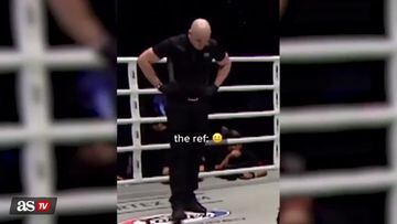 MMA fighter confuses opponent with referee, holds him down in the middle of the fight
