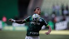 Richard Rios en acción durante el partido válido por la penúltima jornada de la serie A del campeonato brasileño entre el Palmeiras y el Fluminense.