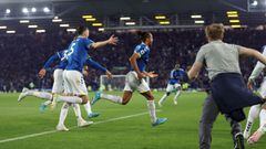 Jugadores del Everton celebran el gol de la victoria frente al Crystal Palace que les da la permanencia en la Premier League.
