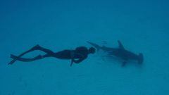 Michael Phelps y el último desafío: ser 'el tiburón' más rápido