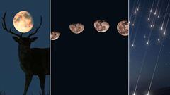 Calendario lunar julio 2023: fases lunares, superluna llena de Ciervo, lluvias de estrellas