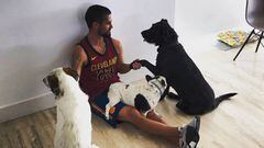 El futbolista del Real Madrid Isco Alarc&oacute;n en su casa con tres de sus perros.