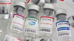 India and South Africa are calling for developed nations to share the vaccine patent, but the World Trade Organization (WTO) is yet to make a decision.