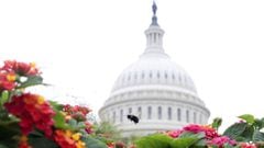 House Speaker Nancy Pelosi is scheduled to continue talks with Treasury Secretary Steven Mnuchin on a deal for fresh coronavirus disease relief legislation.