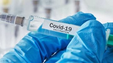 Vacuna de Oxford en Argentina: ¿cuánto durará la inmunidad contra el coronavirus?