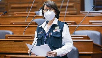 Dimisi&oacute;n de Pilar Mazzetti: razones de la renuncia de la ministra de Salud