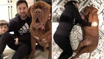 Messi conquista Facebook con estas fotos de Hulk, su perro gigante. Foto: Facebook