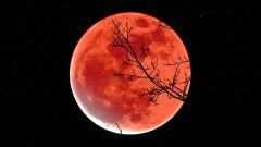 Luna llena del Castor 2022: a qué hora es, significado y cómo ver la luna llena de noviembre
