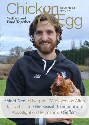 Joe Allen en la portada de Chicken and Egg con su gallina Silkie Steve