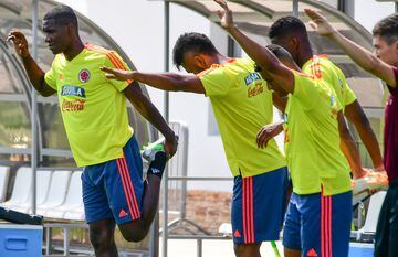 Tras la contundente victoria 3-0 a Polonia, la Selección Colombia se alista para enfrentar a Senegal, por la tercera fecha del grupo H y que definirá la clasificación a los octavos de final. Al equipo colombiano solo le sirve ganar.