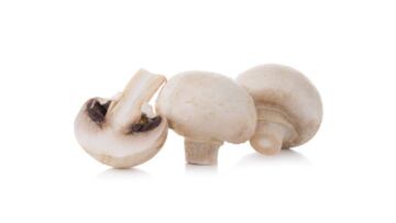Button or white mushrooms are a generous source of vitamins B and D, as well as minerals such as potassium, phosphorus and iron, among others.