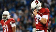 Carson Palmer no tiene claro si seguir&aacute; jugando en 2017 con los Arizona Cardinals de la NFL.