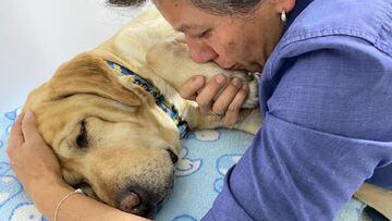 Fallece el perro de Claudia L&oacute;pez y Ang&eacute;lica Lozano. La alcaldesa de Bogot&aacute; y su esposa confirmaron la muerte de su mascota Lucky a causa de un tumor.