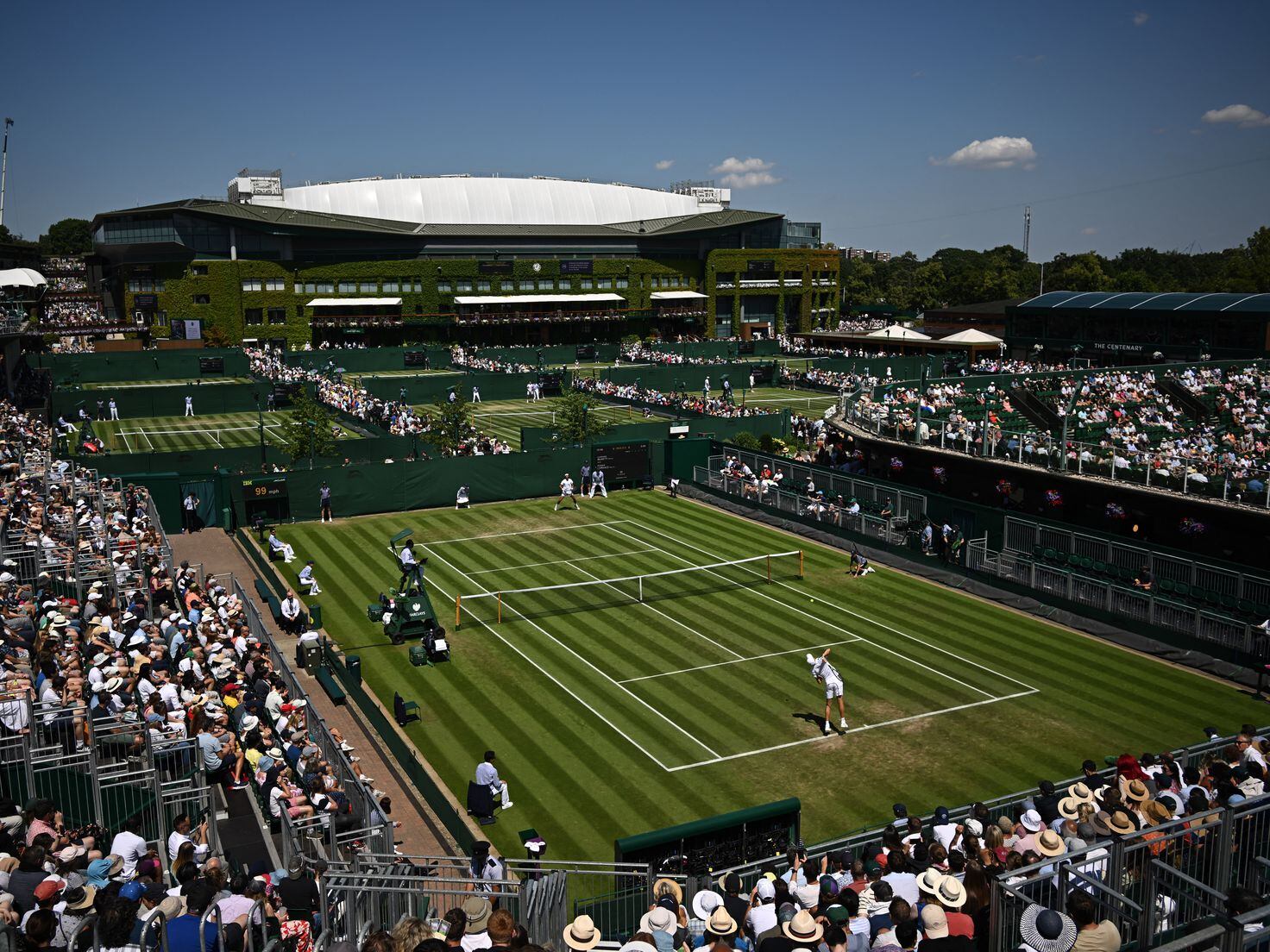 The first-timer's guide to visiting Wimbledon Tennis Championships