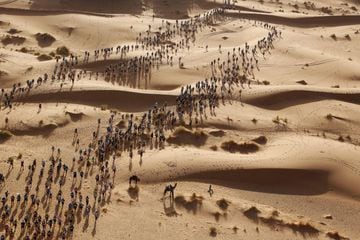Participantes de la famosa maratón 'des Sables', en el desierto del Sahara al sur de Marruecos, comienzan una nueva etapa del recorrido. 
