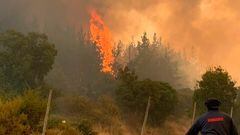 Qué es el Estado de Catástrofe por incendios forestales: medidas, restricciones y dónde lo decretaron