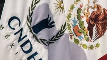 CNDH promueve acción de inconstitucionalidad contra la Ley de la FGR