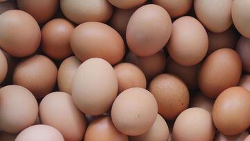 Huevos alcanzan precio récord en Estados Unidos: ¿Por qué está tan caro y cuándo bajarán?