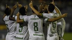 Chapecoense set for first Copa Libertadores home match