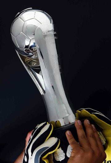 El trofeo más codiciado por los equipos de la Liga MX se hubiera entregado al campeón el pasado 31 de mayo.