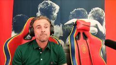 The former Spain coach was criticised for his mid-tournament Twitch streams, appearing alongside Spanish streamer Ibai Llanos.