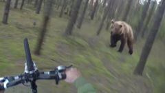Rueda delantera y manillar de una BTT, en un bosque, con un oso corriendo. 