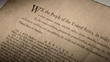 The founding fathers signed the US Constitution over two centuries ago but it took over 200 years before the nation would dedicate a day to celebrate it.
