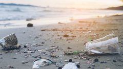 Ahora sí se viene la esperada limpieza de playas en El Quisco