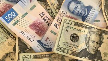 Precio del dólar, 10 de diciembre 2023: cuál es el tipo de cambio en México