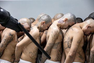 Varios pandilleros esperando a su traslado al Centro de Confinamiento del Terrorismo, la nueva mega cárcel construida en El Salvador.