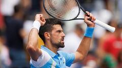 Novak Djokovic celebra su triunfo contra Bernabé Zapata en el US Open.